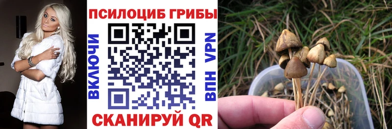 даркнет сайт Котельники Псилоцибиновые грибы GOLDEN TEACHER